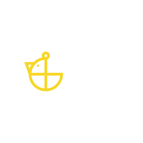 Chicken Plus+